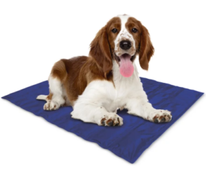 Best Dog Cooling Pads