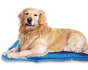 Best Dog Cooling Pads