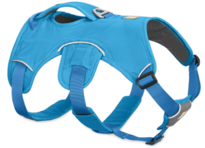 Best Dog Harness for Small Dogs