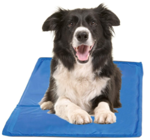 Best Dog Cooling Pads