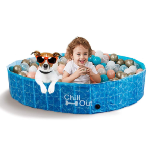 Best Dog Pools