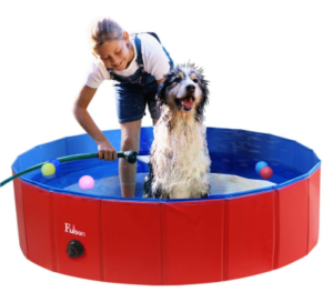 Best Dog Pools