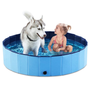 Best Dog Pools