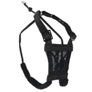 Best Dog Harness for Small Dogs