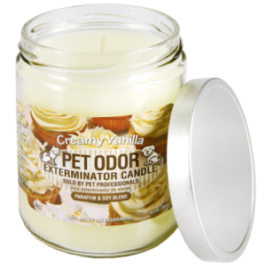 Best Candles for Pet Odor