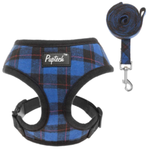 Best Dog Harness for Small Dogs