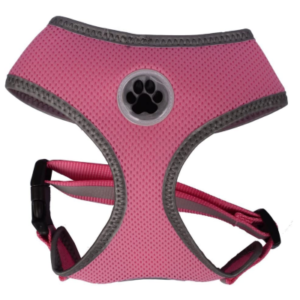 Best Dog Harness for Small Dogs