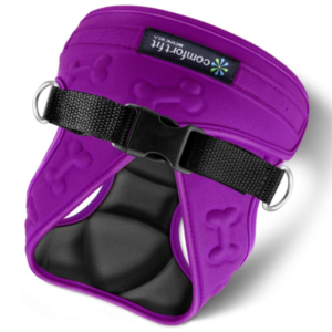 Best Dog Harness for Small Dogs