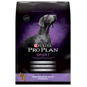 Best High Protein Dog Food 