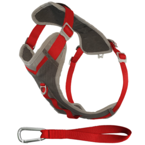 Best Running Harness for Labrador