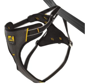 Best Running Harness for Labrador