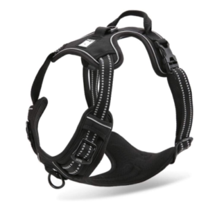 Best Running Harness for Labrador