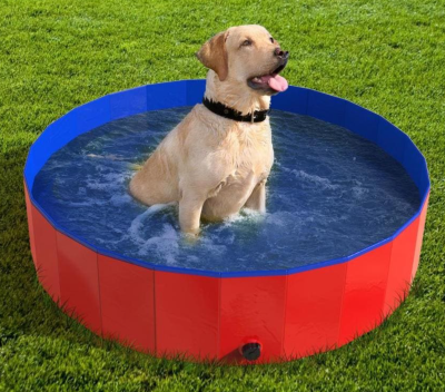 Best Dog Pools