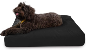 Best Indestructible Dog Beds