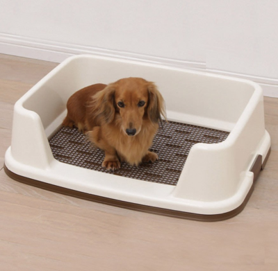 10 Best Indoor Dog Potties | Best Indoor Dog Potty with Sides