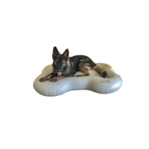 Best Dog Pool Floats