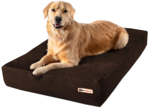 Best Orthopedic Dog Bed