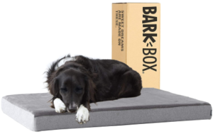 Best Orthopedic Dog Bed