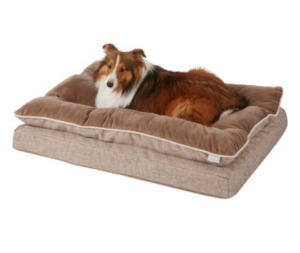 Best Orthopedic Dog Bed