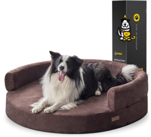 Best Orthopedic Dog Bed