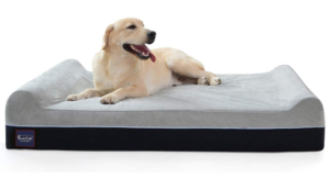 Best Orthopedic Dog Bed