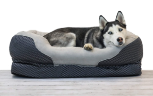 Best Orthopedic Dog Bed