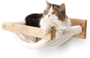 Best Cat Hammocks