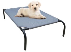 Best Indestructible Dog Beds