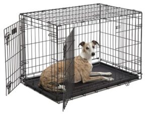 Best Dog Crates with Dividers