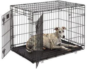 Best Dog Crates with Dividers