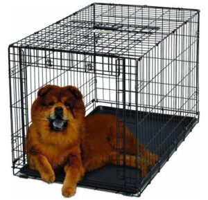 Best Dog Crates with Dividers