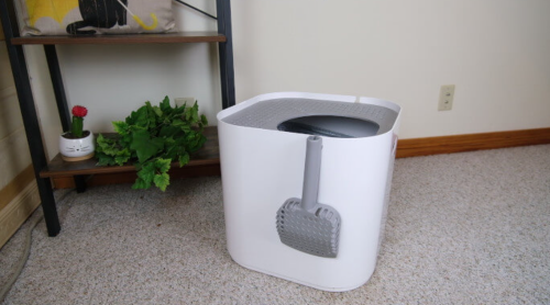 Best Top Entry Litter Boxes