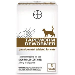 Best Dewormers for Cats