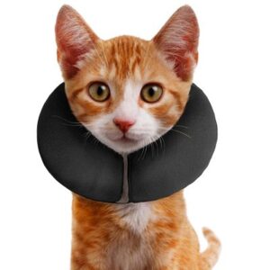 ZenPet ZenCollar Inflatable Recovery Cat Collar