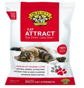 Best Cat Litter Attractants