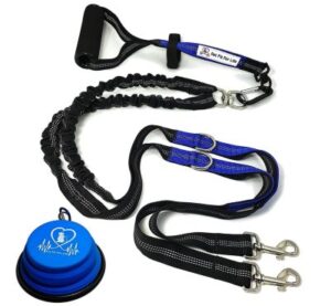 Best Double Dog Leashes