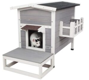 Best Outdoor Cat Houses