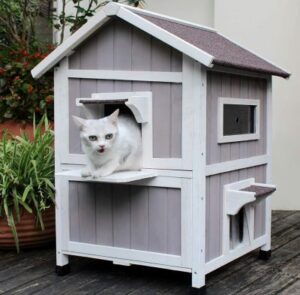 Best Outdoor Cat Houses