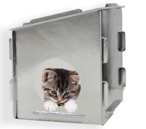 Best Outdoor Cat Houses