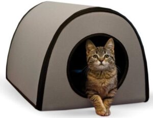 Best Outdoor Cat Houses