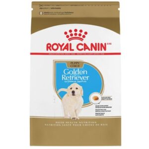 Best Dog Food for Golden Retrievers