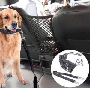 Best Dog Car Barriers