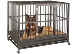 Best Indestructible Dog Crates