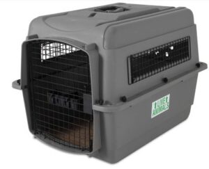 Best Plastic Dog Crates