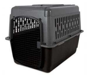 Best Plastic Dog Crates