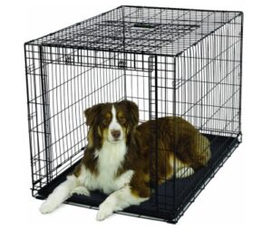 Best Tall Narrow Dog Crates