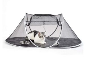 Best Outdoor Cat Enclosures