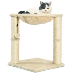 Best Cat Scratchers