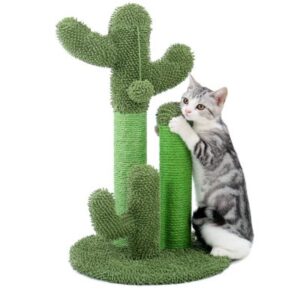 Best Cat Scratchers