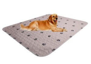 Best Washable Dog Pee Pads